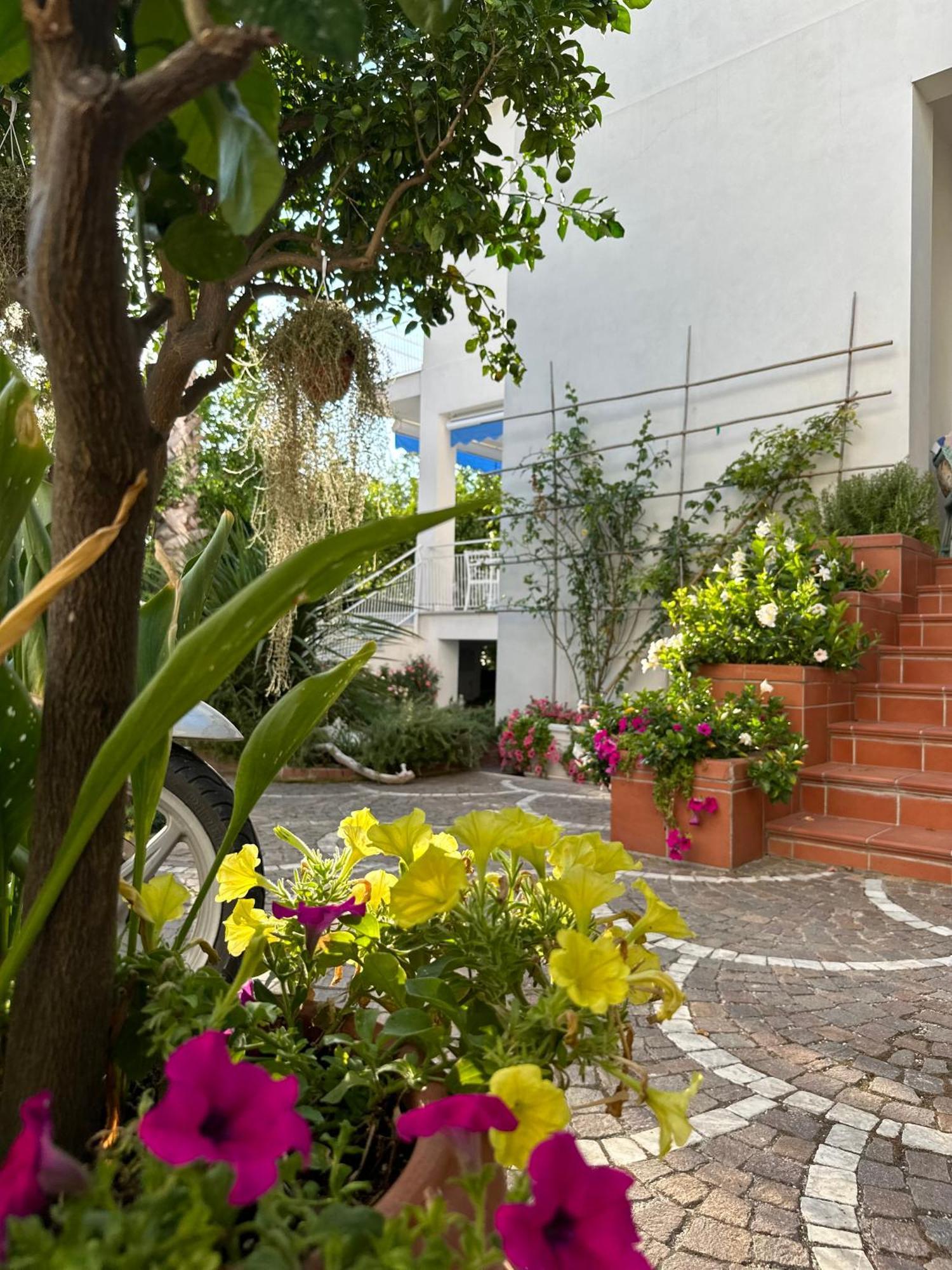 Villa Cettina Boutique Hotel Сорренто Екстер'єр фото